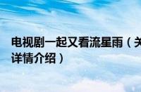 电视剧一起又看流星雨（关于电视剧一起又看流星雨的基本详情介绍）