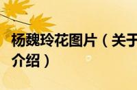 杨魏玲花图片（关于杨魏玲花图片的基本详情介绍）