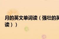 月的英文单词读（强壮的英文怎么说（强壮的英文单词怎么读））