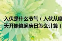 入伏是什么节气（入伏从哪一天开始算起2021（入伏从哪一天开始算起庚日怎么计算））