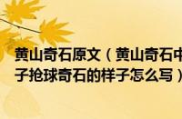 黄山奇石原文（黄山奇石中狮子抢球是怎么描述的（黄山狮子抢球奇石的样子怎么写））