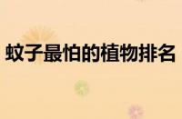蚊子最怕的植物排名（蚊子怕什么花草植物）