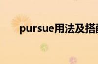 pursue用法及搭配（pursue的搭配）
