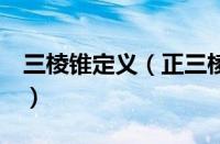 三棱锥定义（正三棱锥定义（正四棱锥定义））