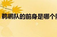 鹈鹕队的前身是哪个队（鹈鹕是西部球队吗）