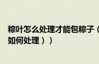 粽叶怎么处理才能包粽子（粽子叶怎么处理了才能用（粽叶如何处理））