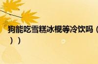 狗能吃雪糕冰棍等冷饮吗（狗能吃雪糕么（狗不能吃冰淇淋））