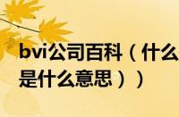 bvi公司百科（什么是bvi公司（bvi控股公司是什么意思））