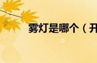 雾灯是哪个（开启雾灯怎么操作）