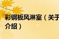 彩钢板风淋室（关于彩钢板风淋室的基本详情介绍）