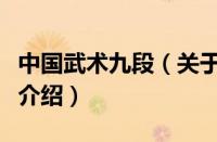 中国武术九段（关于中国武术九段的基本详情介绍）