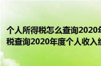 个人所得税怎么查询2020年度个人收入纳税明细（个人所得税查询2020年度个人收入纳税明细方法步骤）