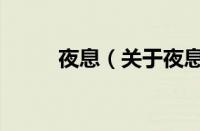 夜息（关于夜息的基本详情介绍）
