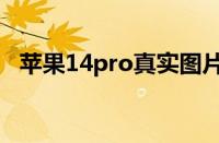 苹果14pro真实图片（14pro预计多少钱）