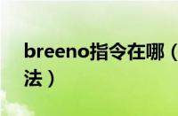 breeno指令在哪（breeno指令功能使用方法）