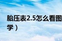 胎压表2.5怎么看图解（胎压表怎么看新手教学）