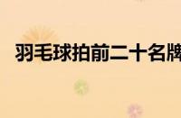 羽毛球拍前二十名牌子（羽毛球拍排行榜）