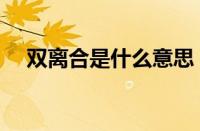 双离合是什么意思（双离合是自动挡吗）