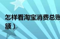 怎样看淘宝消费总账单（淘宝怎么查询消费总额）