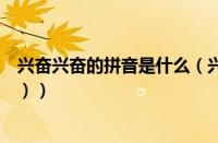 兴奋兴奋的拼音是什么（兴奋拼音怎么读（兴奋拼音怎么写））