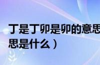 丁是丁卯是卯的意思解释（丁是丁卯是卯的意思是什么）