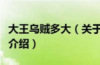 大王乌贼多大（关于大王乌贼多大的基本详情介绍）