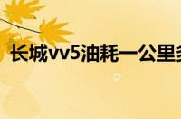 长城vv5油耗一公里多少（vv5的真实油耗）