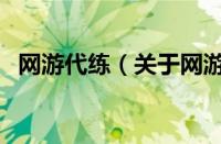 网游代练（关于网游代练的基本详情介绍）