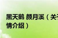 黑天鹅 颜月溪（关于黑天鹅 颜月溪的基本详情介绍）