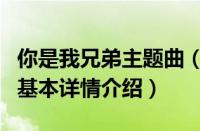 你是我兄弟主题曲（关于你是我兄弟主题曲的基本详情介绍）