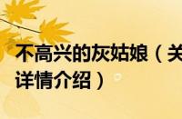 不高兴的灰姑娘（关于不高兴的灰姑娘的基本详情介绍）