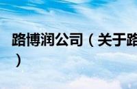 路博润公司（关于路博润公司的基本详情介绍）