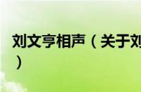 刘文亨相声（关于刘文亨相声的基本详情介绍）