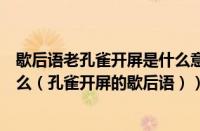 歇后语老孔雀开屏是什么意思（歇后语老孔雀开屏后面是什么（孔雀开屏的歇后语））