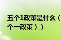 五个1政策是什么（5个1政策是什么意思（5个一政策））