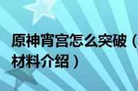 原神宵宫怎么突破（原神宵宫突破与天赋升级材料介绍）