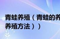 青蛙养殖（青蛙的养殖技术及方法（青蛙怎么养殖方法））