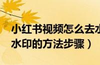 小红书视频怎么去水印?（小红书视频中去除水印的方法步骤）