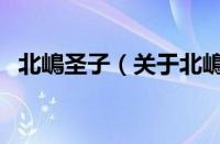 北嶋圣子（关于北嶋圣子的基本详情介绍）
