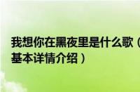 我想你在黑夜里是什么歌（关于我想你在黑夜里是什么歌的基本详情介绍）