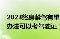 2023终身禁驾有望恢复吗（终身禁驾有什么办法可以考驾驶证）