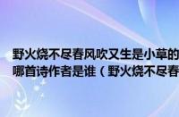 野火烧不尽春风吹又生是小草的坚韧作文（野火烧不尽春风吹又生出自哪首诗作者是谁（野火烧不尽春风吹又生出自哪一首诗））