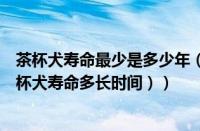 茶杯犬寿命最少是多少年（茶杯犬寿命一般能活多少年（茶杯犬寿命多长时间））