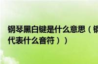 钢琴黑白键是什么意思（钢琴黑白键代表什么（钢琴黑白键代表什么音符））