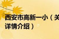 西安市高新一小（关于西安市高新一小的基本详情介绍）