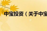 中宝投资（关于中宝投资的基本详情介绍）