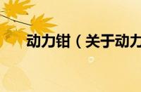 动力钳（关于动力钳的基本详情介绍）
