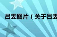 吕雯图片（关于吕雯图片的基本详情介绍）