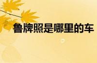 鲁牌照是哪里的车（鲁车牌号码一览表）
