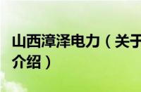 山西漳泽电力（关于山西漳泽电力的基本详情介绍）